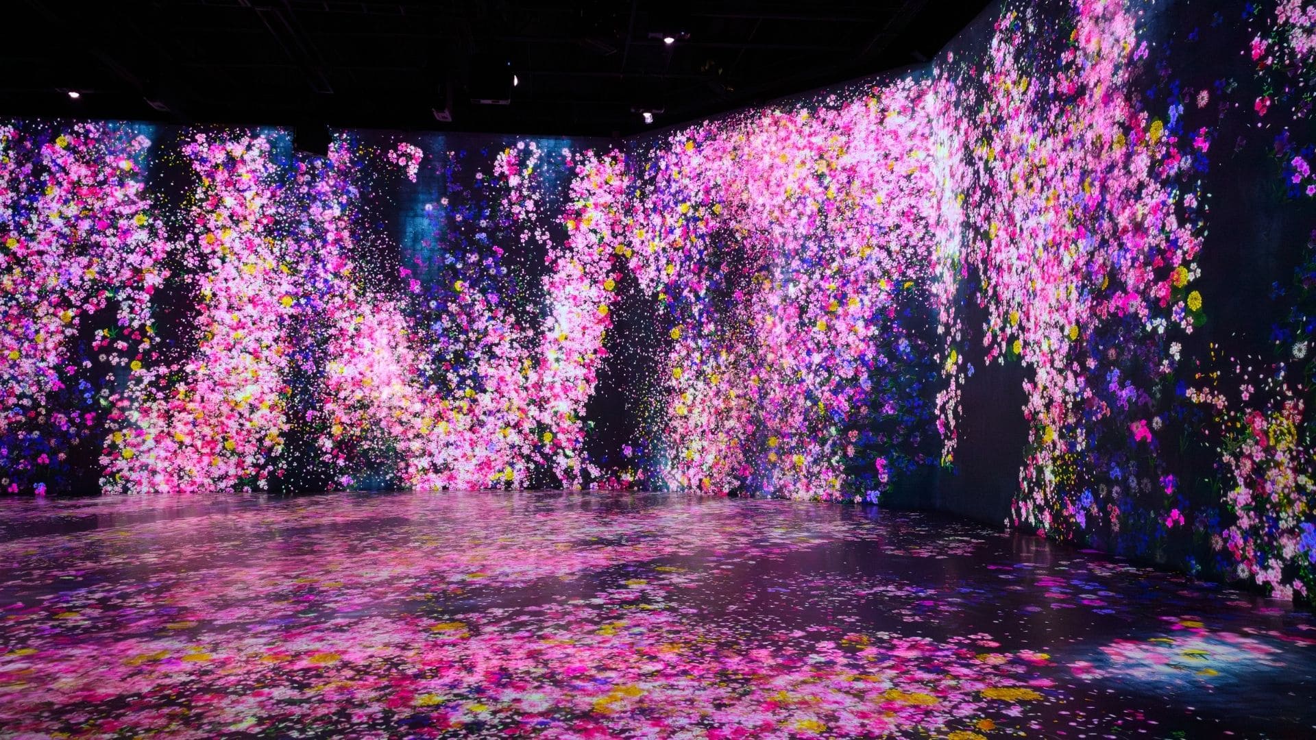 Immersive digital art installation of cascading pink flowers at Superblue Miami