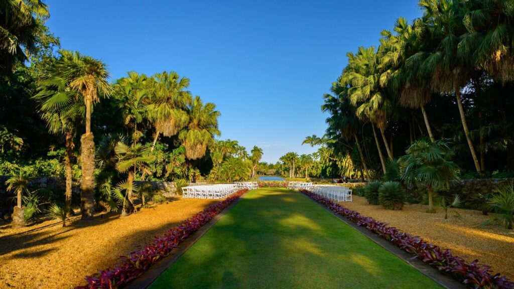 Outdoor wedding ceremony setup with white chairs lining a lush green aisle surrounded by tropical palm trees under a bright blue sky.